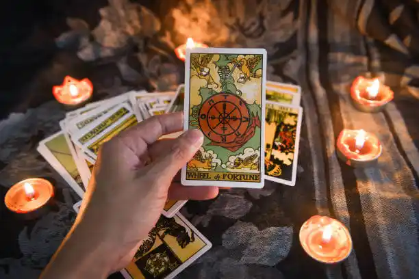 tarot cards Crane